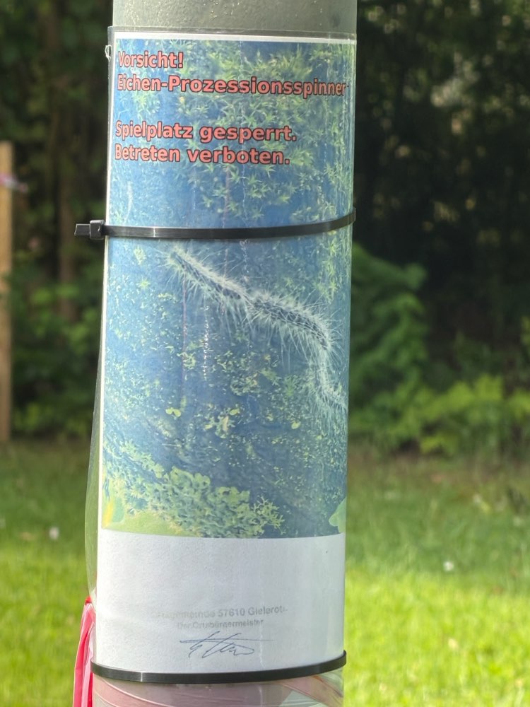 Giftköder-Eichen Prozessionsspinner-Profilbild