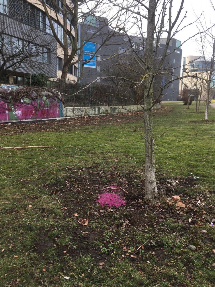 Giftköder-Vorsicht Verdacht auf Rattengift!-Profilbild