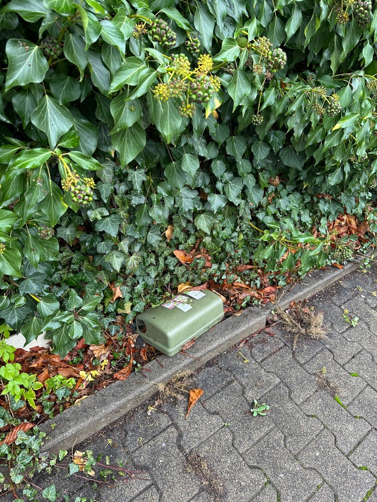 Giftköder-Rattengift Box Parkplatz vor Rewe-Profilbild