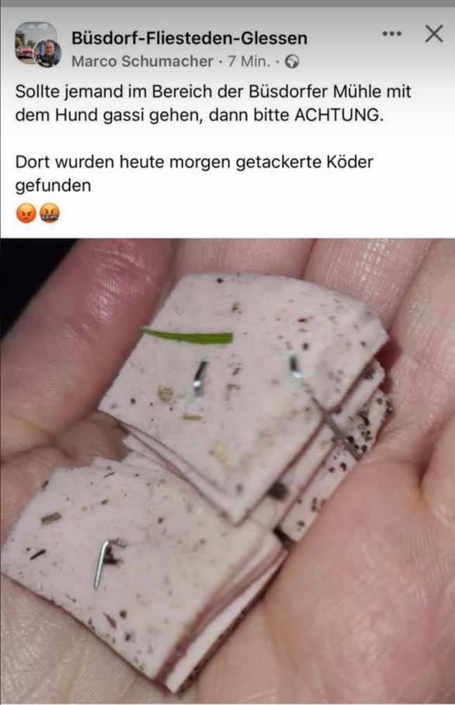 Giftköder-Getackerte Wurststücke-Profilbild