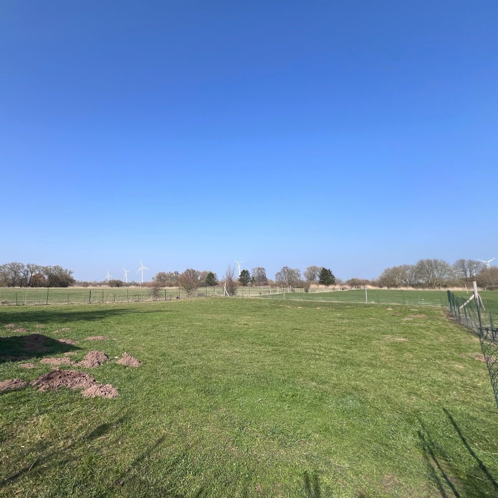 Hundetreffen-Treffen für mittelgroße Hunde-Profilbild