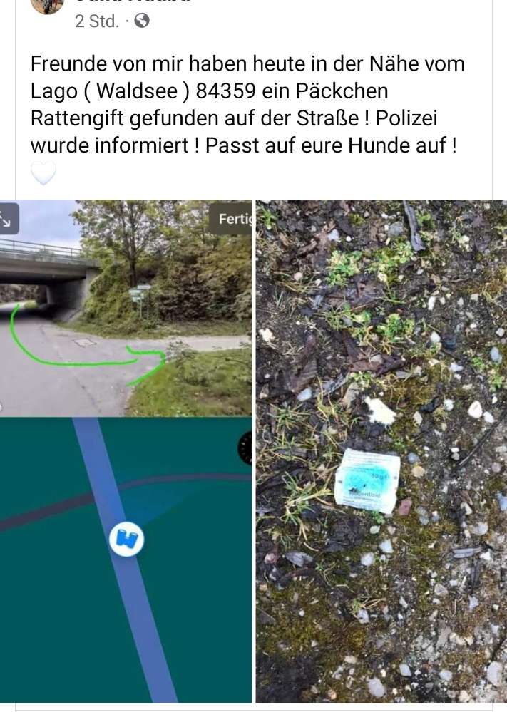 Giftköder-Giftköder auch für Hunde gefährlich-Profilbild