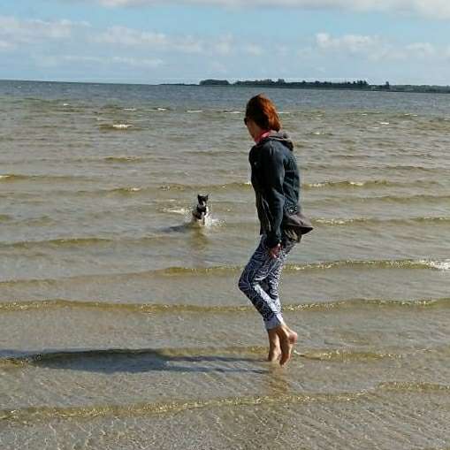 Hundetreffen-Gassi und Spielen in und um Vilseck-Profilbild