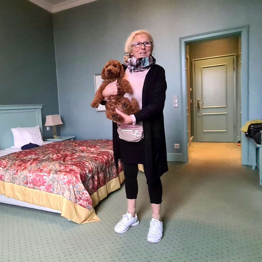 Hundetreffen-Hundegruppe für Pudel und ähnlich & andere nette Hunde-Profilbild