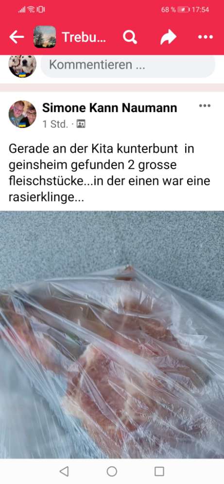 Giftköder-Fleisch mit Rasierklinge-Profilbild