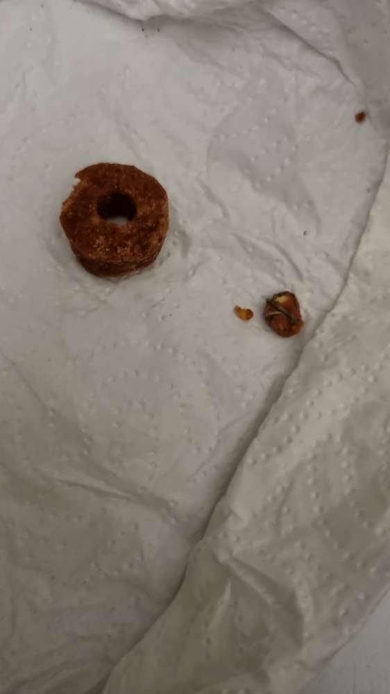 Giftköder-Leckerlis/ Giftköder-Profilbild