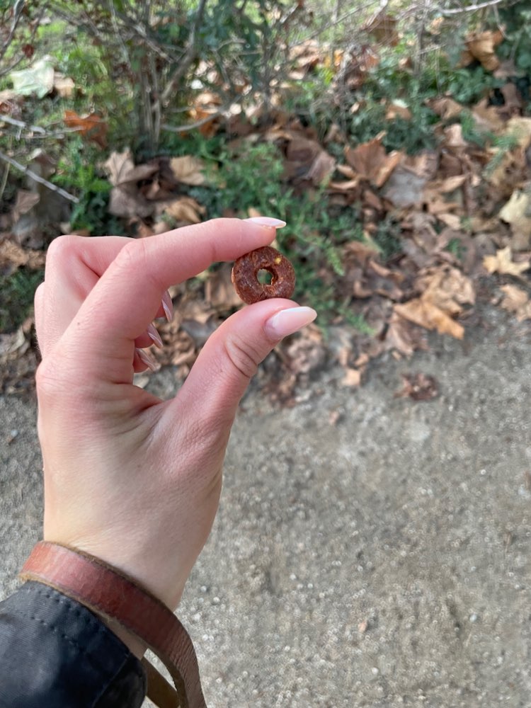 Giftköder-Einzelnes Trockenfutter-Profilbild