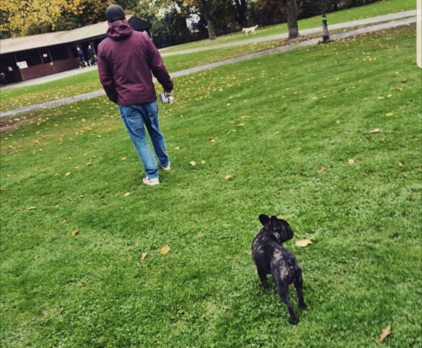 Hundetreffen-Spiel und Spaß-Profilbild