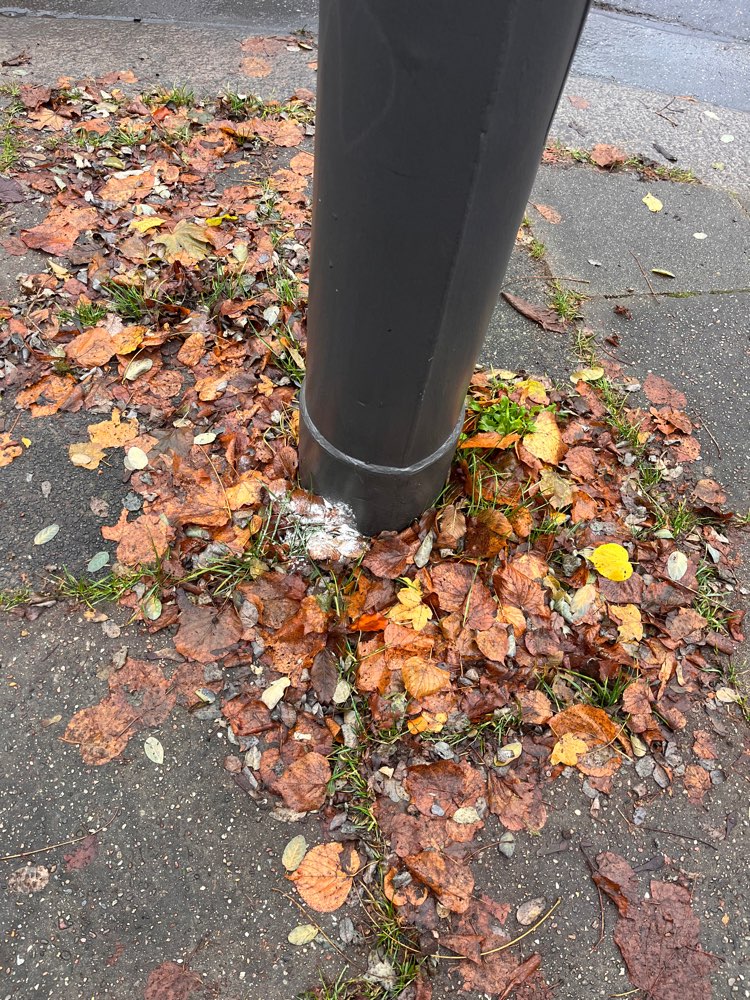 Giftköder-Weißes Pulver an Laternen&Bäumen-Profilbild