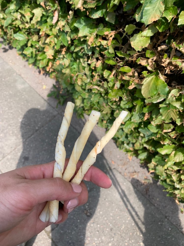 Giftköder-Kaustangen unter Büschen-Profilbild