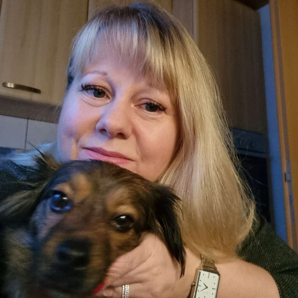 Hundetreffen-Gemeinsam Gassi gehen oder spielen-Profilbild