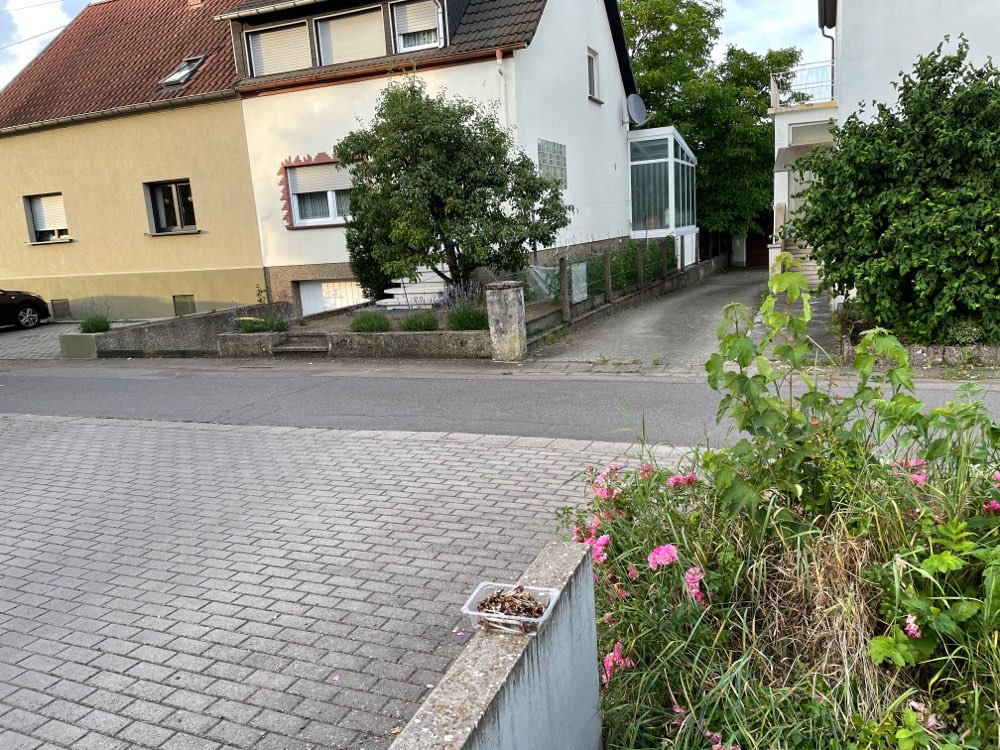 Giftköder-Kunststoffgefäß mit spitzen Knochen-Profilbild