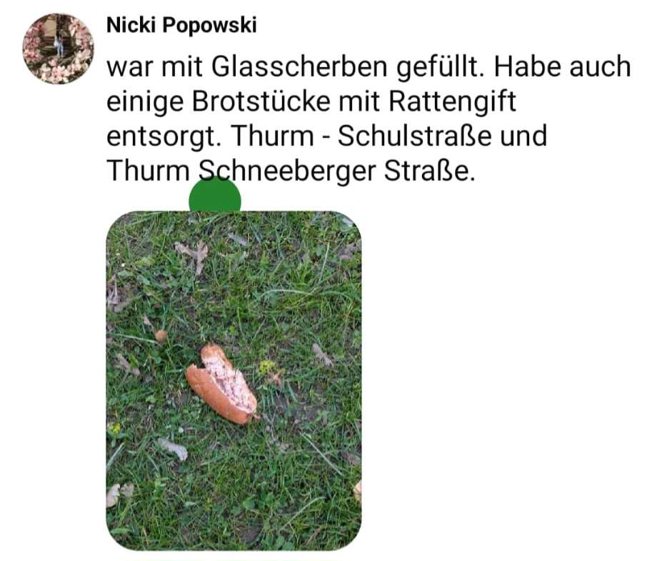 Giftköder-Giftköder-Profilbild