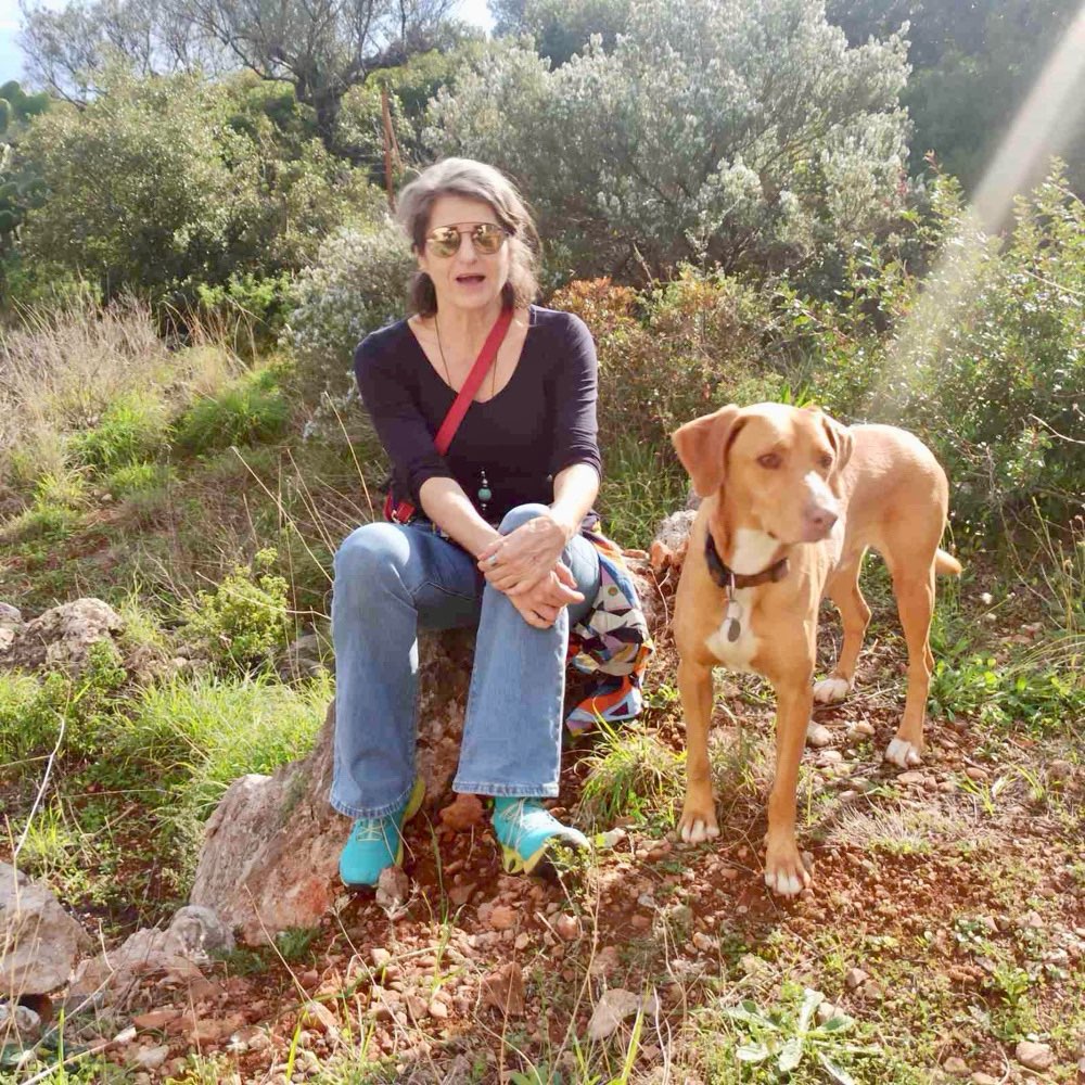 Hundetreffen-Spazierengehen & Spielen-Profilbild