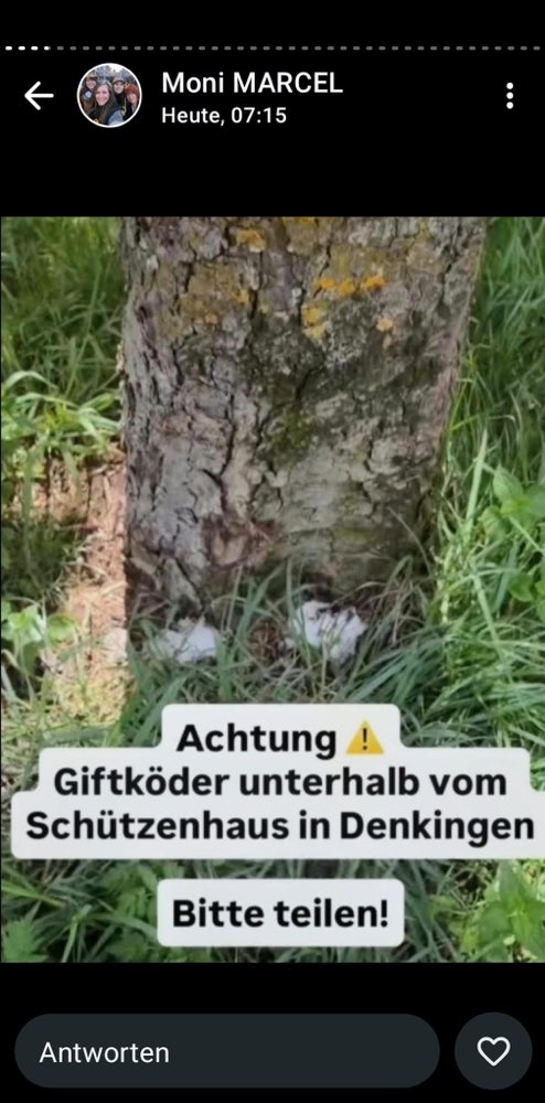 Giftköder-Giftköder-Profilbild