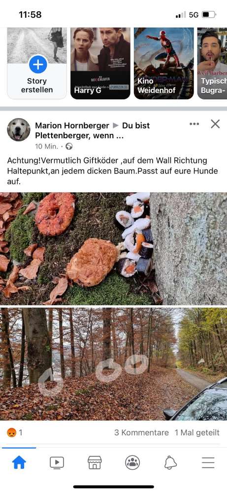 Giftköder-Giftköder-Profilbild