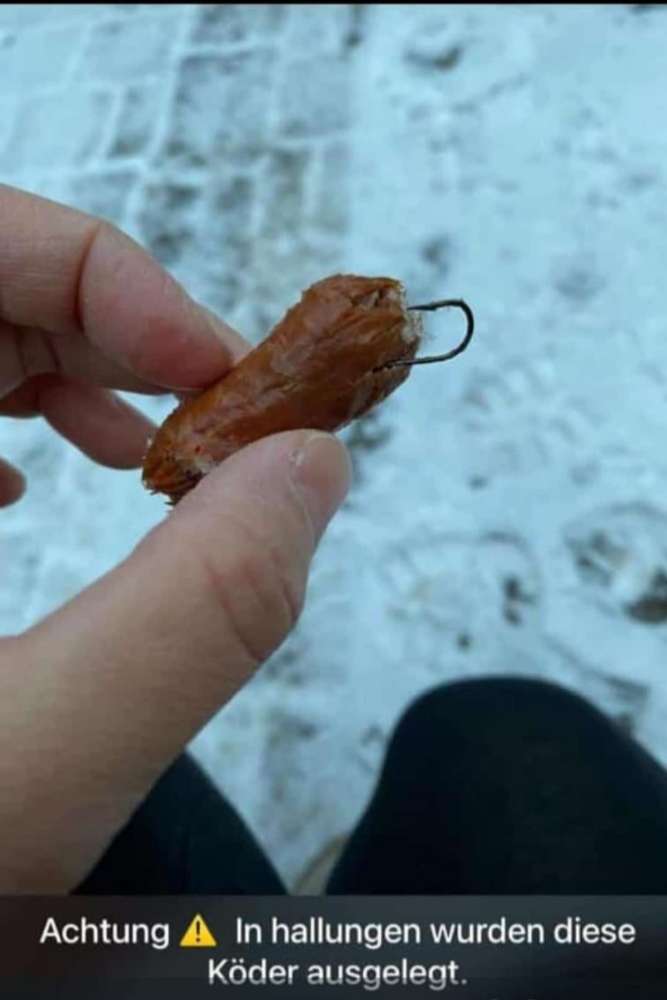 Giftköder-Giftköder/ Köder-Profilbild