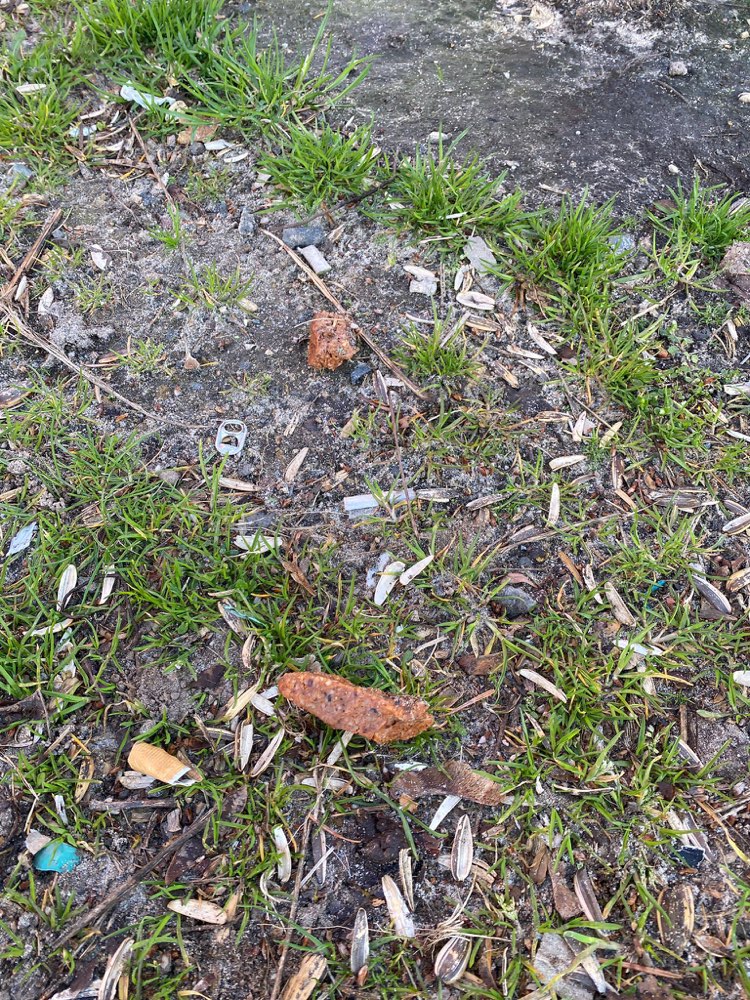 Giftköder-Ggf Giftköder-Polizei informiert-Profilbild