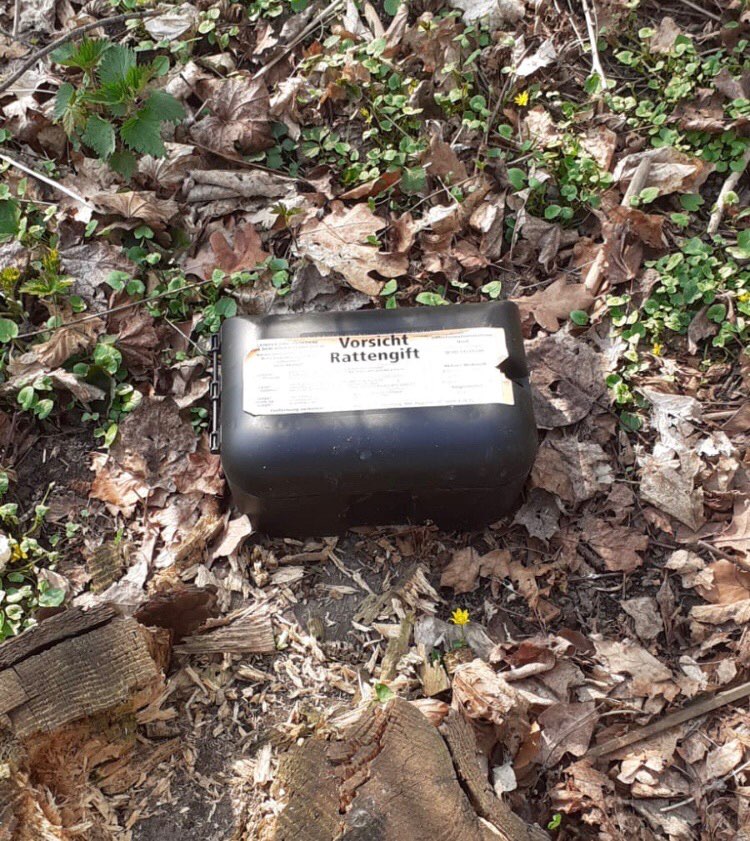 Giftköder-Rattengift ?-Profilbild