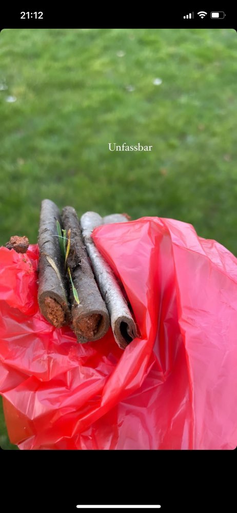 Giftköder-Fleisch/Leberwurst mit Glassplittern-Profilbild