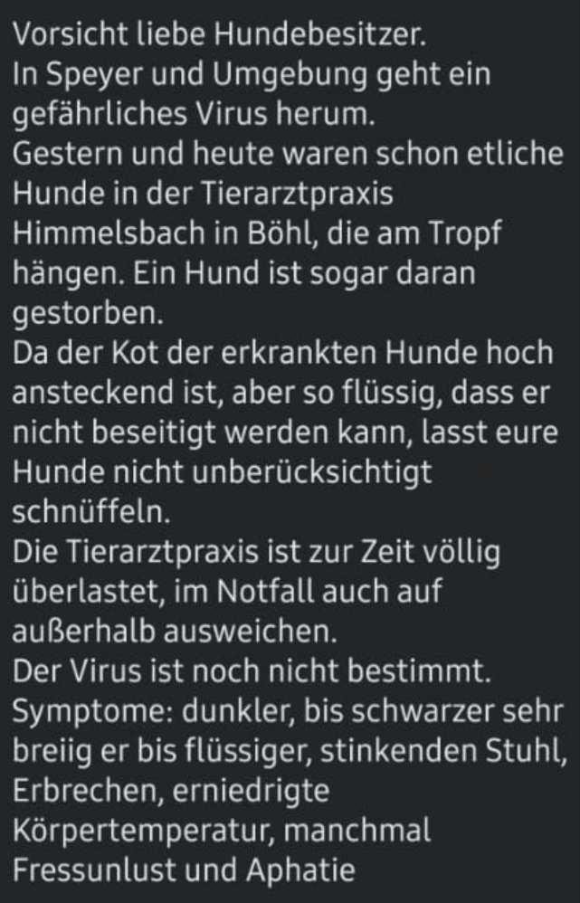 Giftköder-Virus - mehrer verletze Hunde - Tierarzt warnt-Profilbild