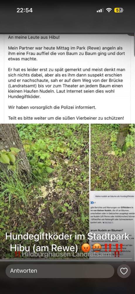 Giftköder-Giftköder-Profilbild