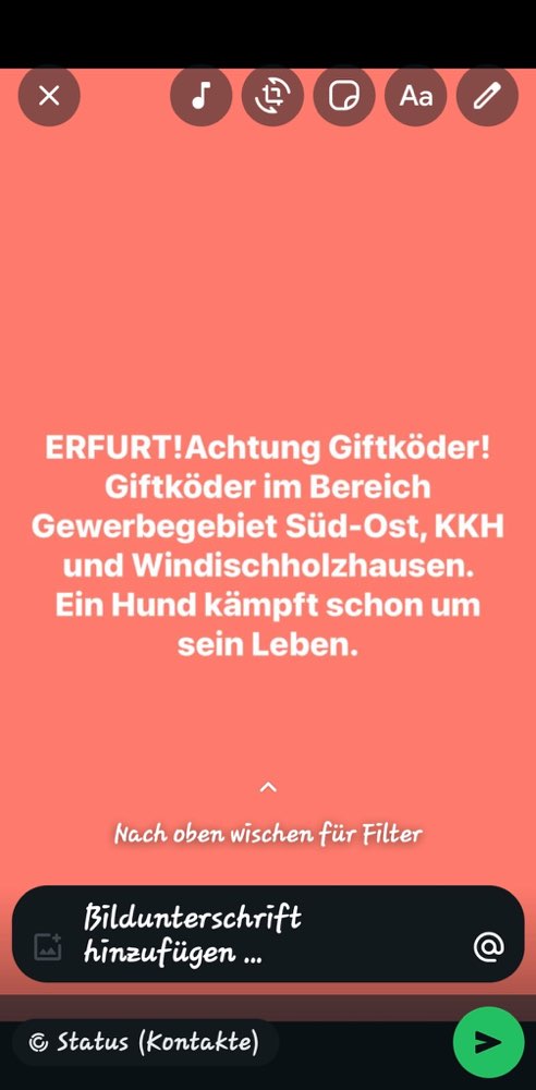 Giftköder-Giftköder-Profilbild