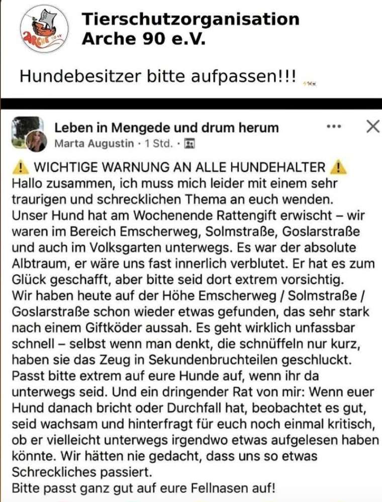 Giftköder-RATTENGIFT-Profilbild