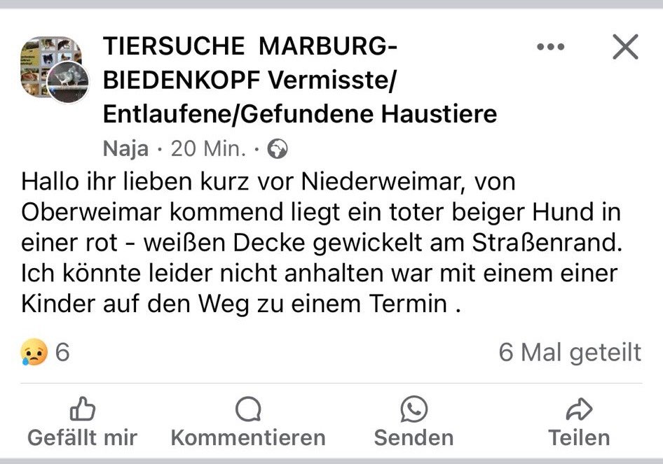 Giftköder-Toter Fuchs-Profilbild