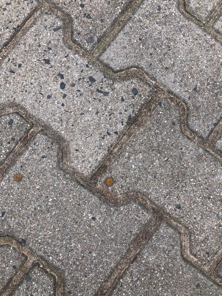 Giftköder-Giftköder-Profilbild