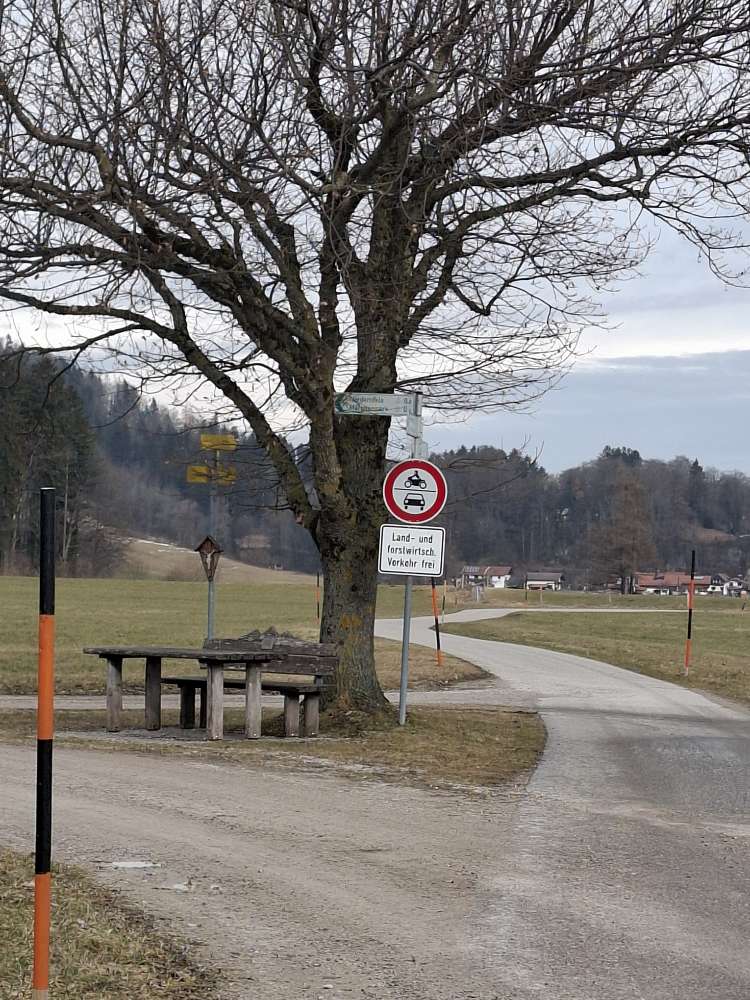 Giftköder-Eventuell Giftköder-Profilbild