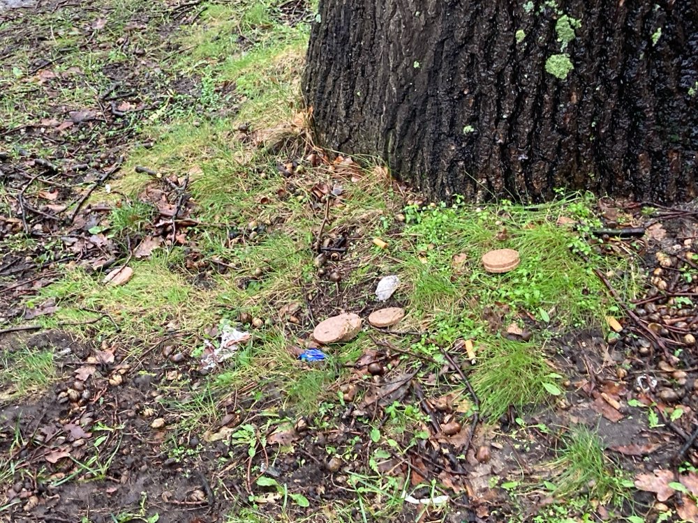 Giftköder-Wurstscheiben (siehe Fotos)-Profilbild