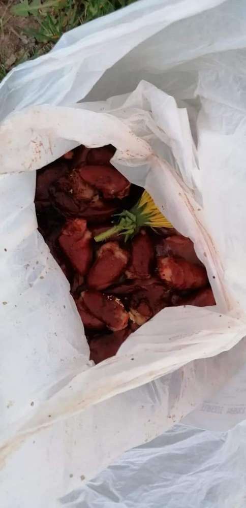 Giftköder-Achtung Hühnerherze im Busch-Profilbild