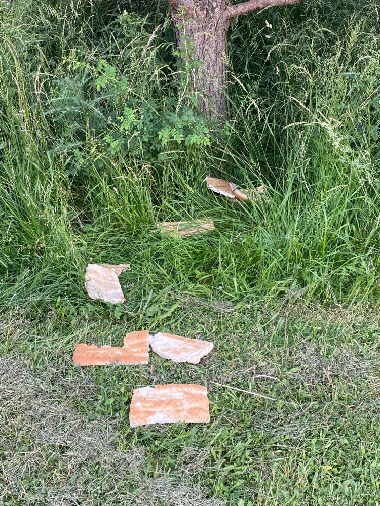 Giftköder-Brot ausgelegt!-Profilbild