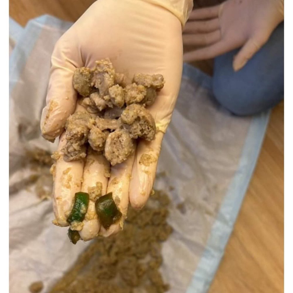 Giftköder-Giftköder-Profilbild