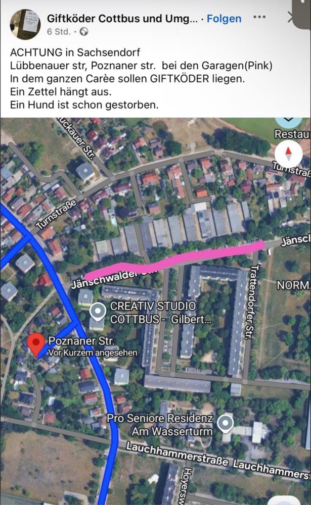 Giftköder-Giftköder-Profilbild