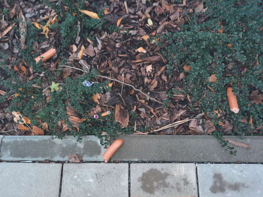 Giftköder-Erneut verteilte Würste-Profilbild