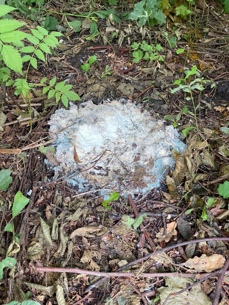 Giftköder-Evtl. Gift-Profilbild