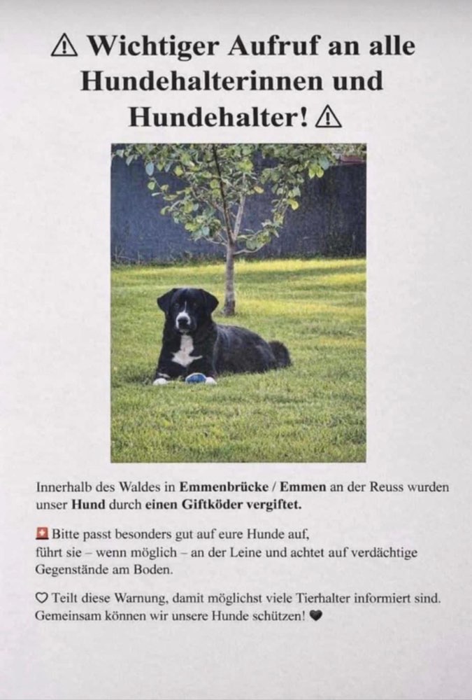 Giftköder-Giftköder-Profilbild