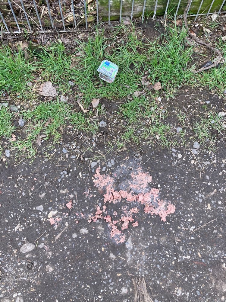 Giftköder-Vermutlich Giftköder-Profilbild