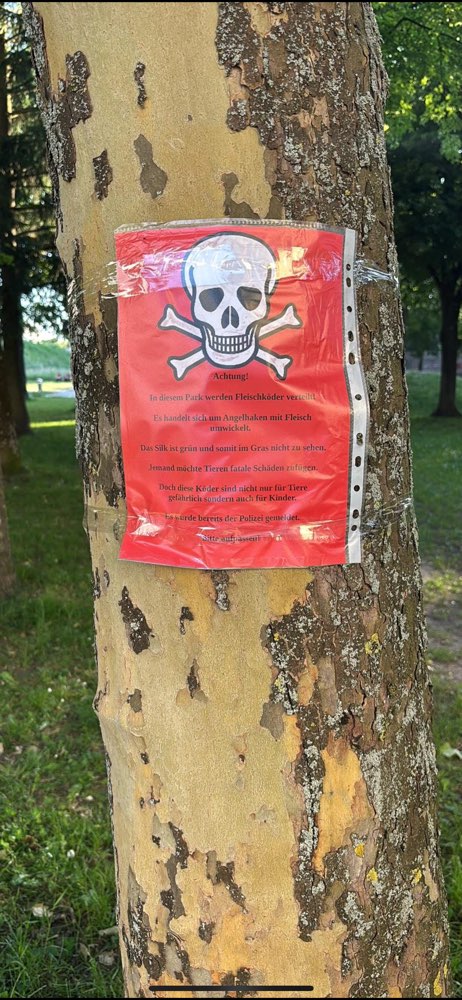 Giftköder-Giftköder im Friedenspark-Profilbild