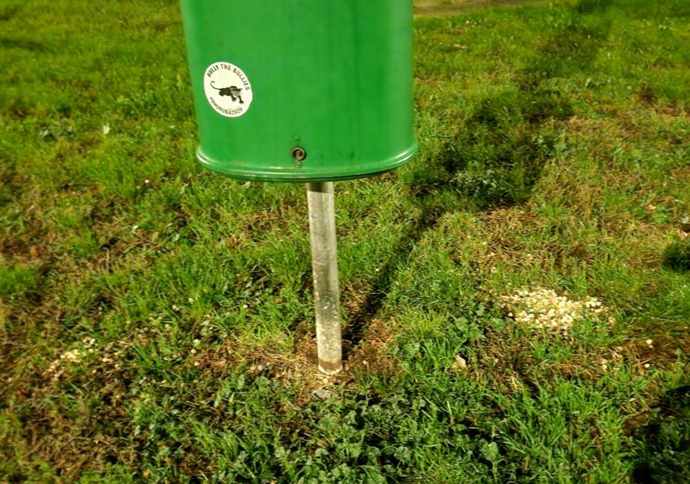 Giftköder-Giftköder direkt beim Gacksackerlspender-Profilbild