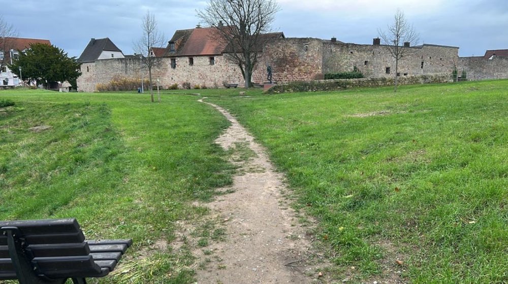 Giftköder-Giftköder auf  Wiese-Profilbild