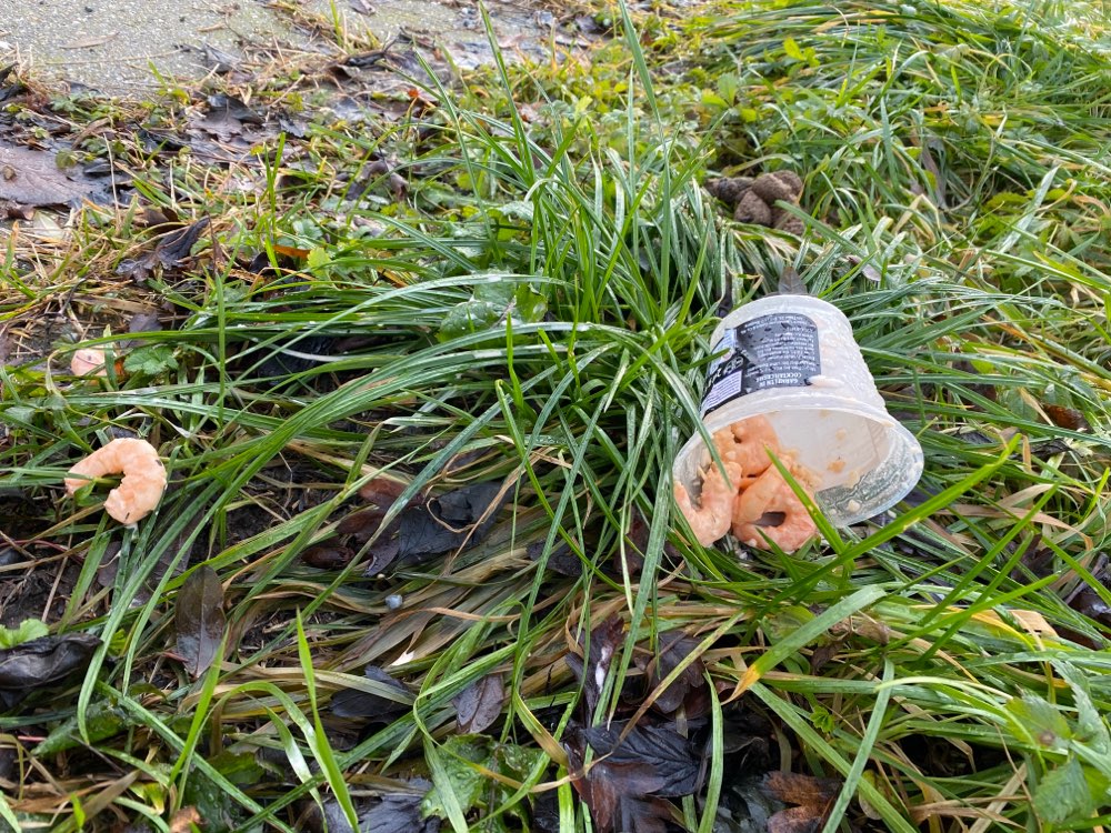 Giftköder-Garnelen in der Wiese-Profilbild