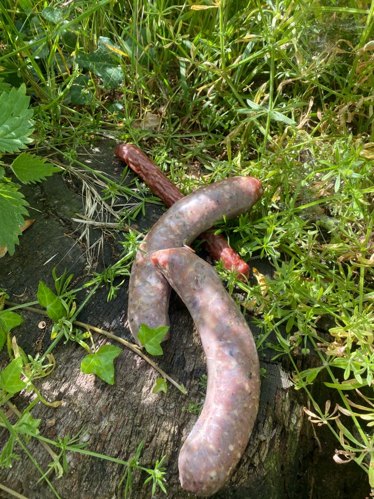 Giftköder-Giftköder-Profilbild