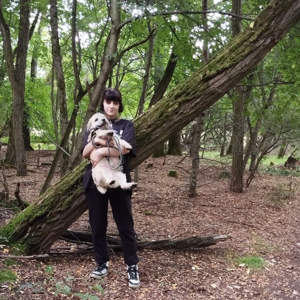 Hundetreffen-Freizeit Gassirunde-Profilbild