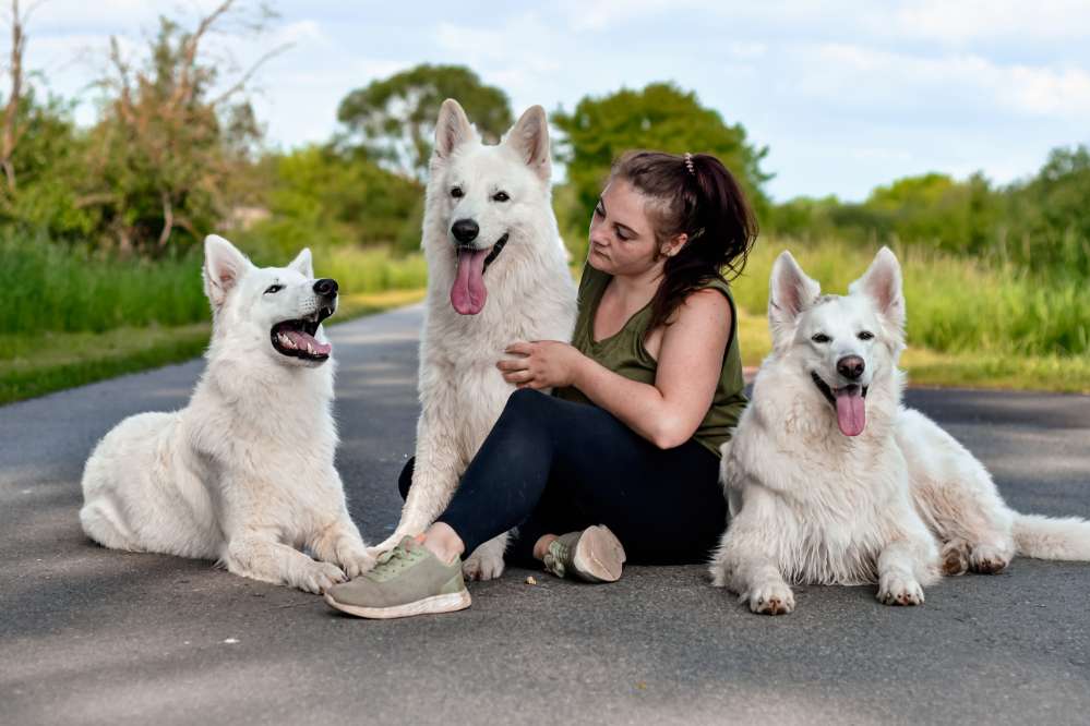 Hundetreffen-Dog Treffen-Profilbild