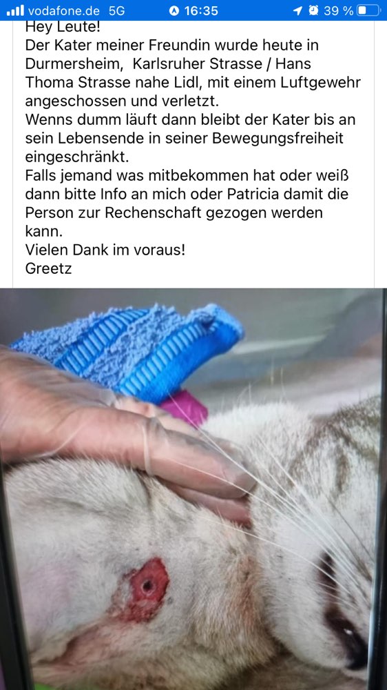Giftköder-Katze angeschossen-Profilbild