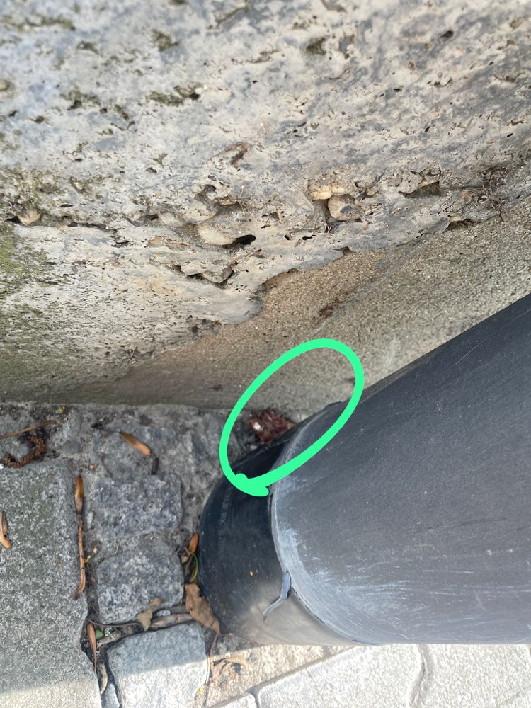 Giftköder-Vermutlicher Giftköder-Profilbild