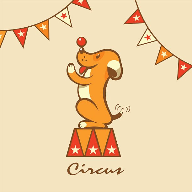 Hundetreffen-Trickdogging - Gladbeck Brauck-Profilbild